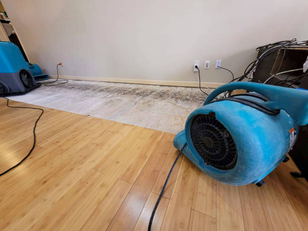 Professional Flood Damage Cleanup technician working in Kingman, KS